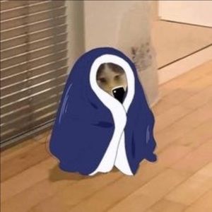 Meet your Posher, Miranda